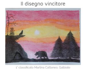 Disegno vincitore concorso WWF